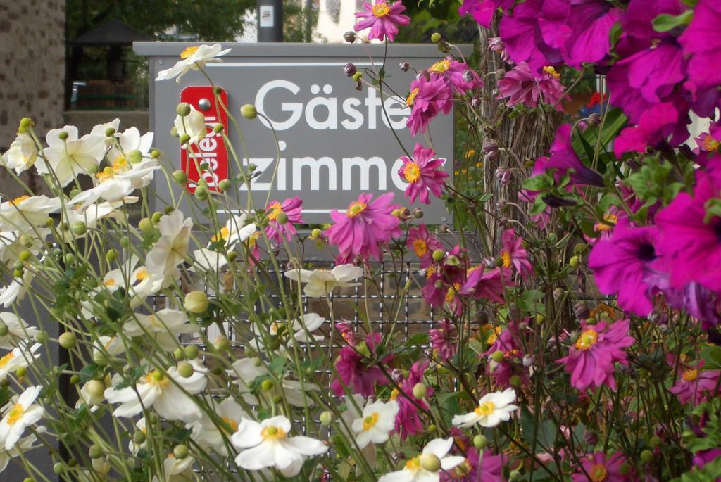Gaestehaus Weberskirch Ernst Buitenkant foto