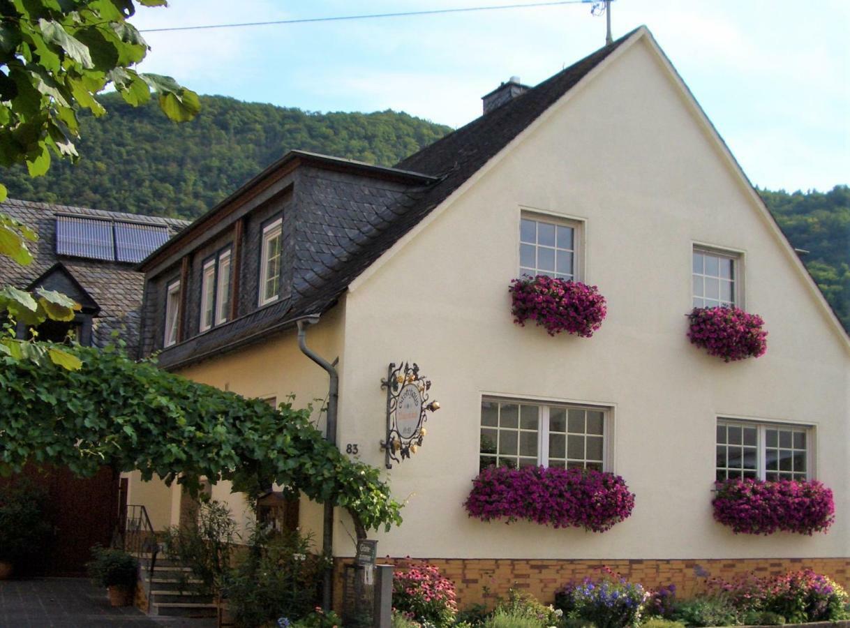 Gaestehaus Weberskirch Ernst Buitenkant foto